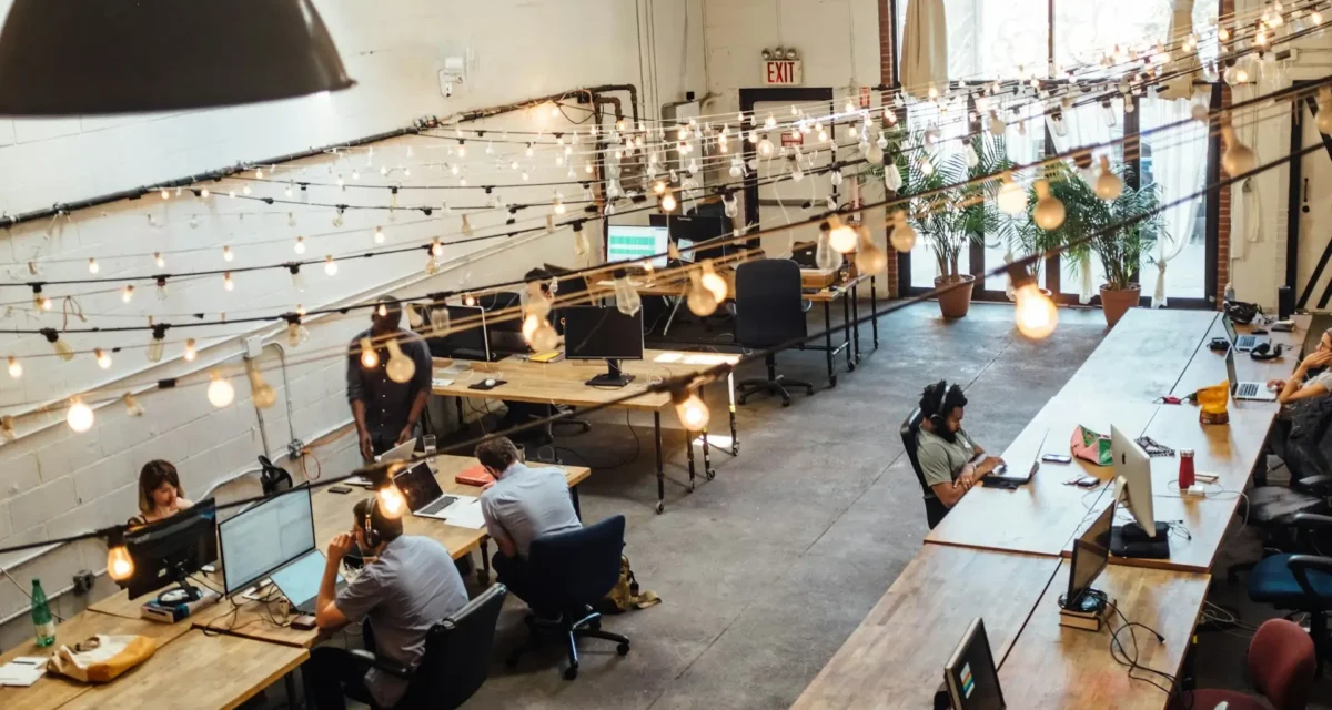 Ce este un spațiu de coworking și ce facilități include      
    
         
        